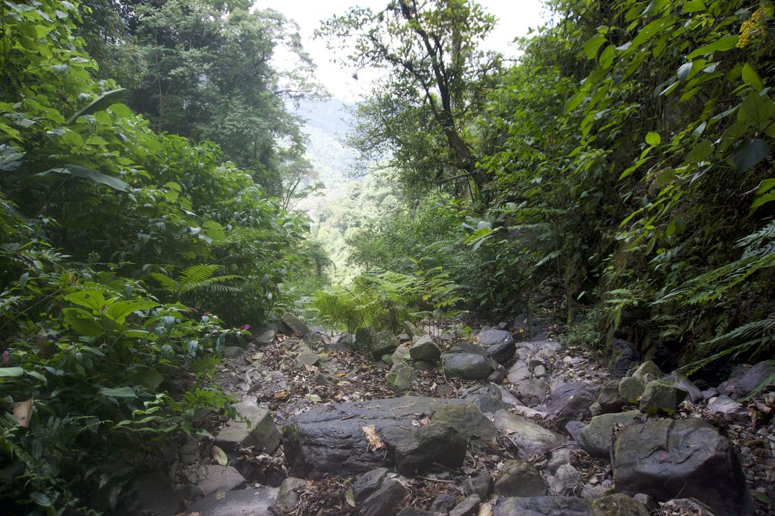 Harmonizing Law and Nature: How Scientists, Communities, Animals, and Plants Collaborate to Protect Livelihoods