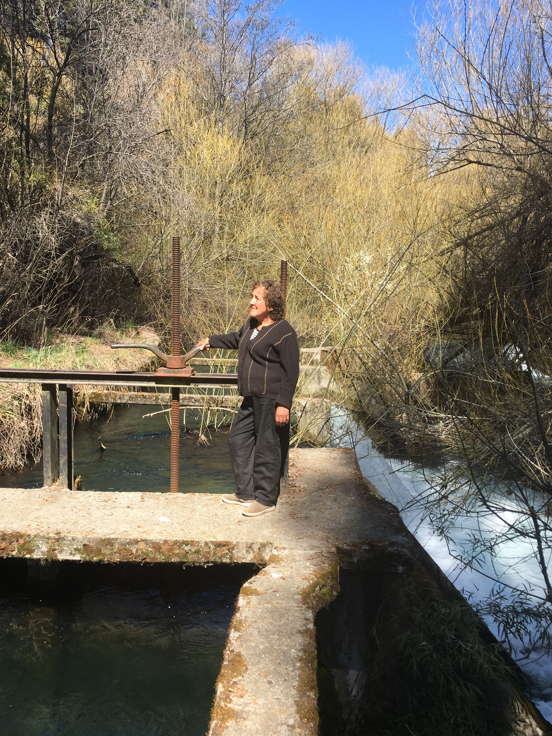 The Carriqueo Lof and its Struggle for Land and Water