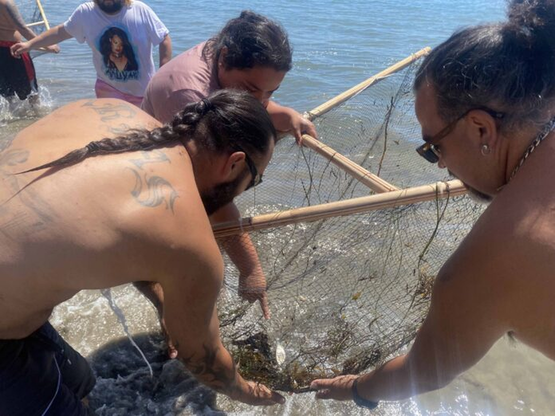 Legalized Dispossession of Indigenous Lands in Alta California: The Case of Wilson v. Castro.