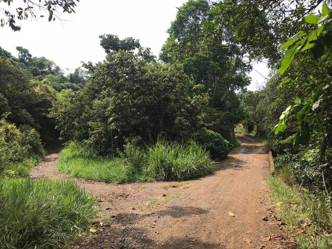 Tenencia de la tierra en Peón (Valle del Cauca, Colombia): relato sobre una compra colectiva en el siglo XX para enfrentar el destierro